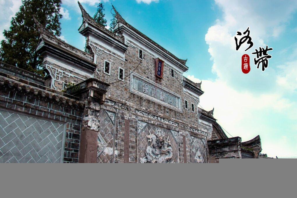 在食人鱼的鱼缸里，丢进去条清道夫会如何？结局还真没想到！游戏画面